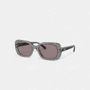 Coach Badge Rounded Square Sunglasses Grijs | COH866397
