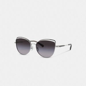 Coach Bandit Wire Oval Sunglasses Grijs | COH866327