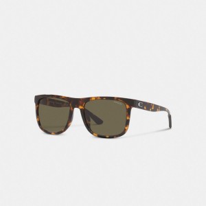 Coach Beveled Signature Flat Top Square Sunglasses Bruin | COH867062