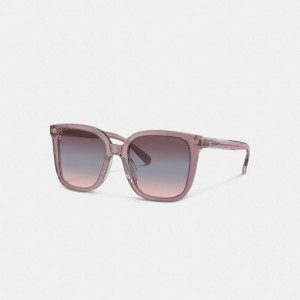 Coach Beveled Signature Oversized Square Sunglasses Roze | COH866399