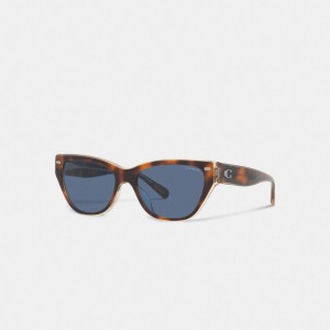 Coach Beveled Signature Square Cat Eye Sunglasses Bruin | COH866372