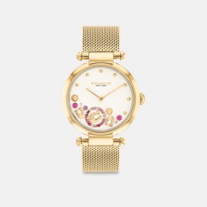 Coach Cary Watch, 34 Mm Goud | COH866246