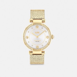 Coach Cary Watch, 34 Mm Goud | COH866248