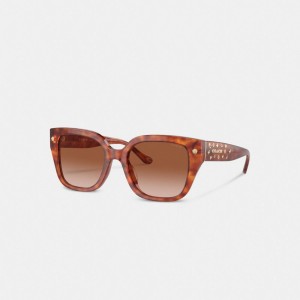 Coach Charms Oversized Square Sunglasses Bruin | COH866328