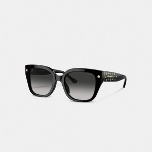 Coach Charms Oversized Square Sunglasses Zwart | COH866351
