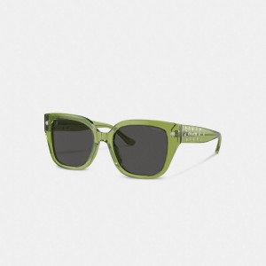 Coach Charms Oversized Square Sunglasses Groen | COH866383