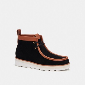 Coach Chukka Boot Zwart | COH866855