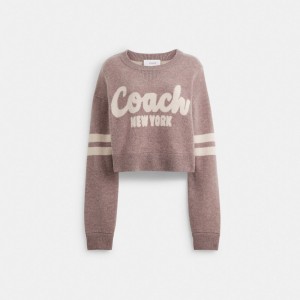 Coach Cropped Sweater Roze | COH865984