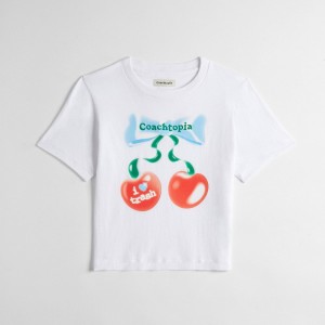 Coach Cropped Tee: Cherry Bow Wit | COH865974