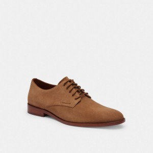 Coach Davi Derby Camel | COH866840