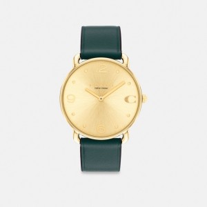 Coach Elliot Watch, 36 Mm Groen | COH866965