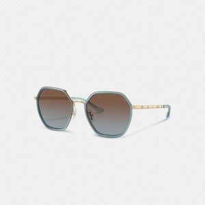 Coach Embellished Narrow Metal Hexagon Sunglasses Blauw | COH866323