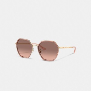 Coach Embellished Narrow Metal Hexagon Sunglasses Roze | COH866326