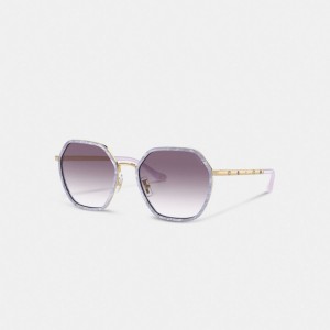 Coach Embellished Narrow Metal Hexagon Sunglasses Paars | COH866347