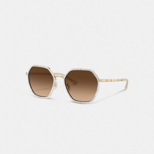 Coach Embellished Narrow Metal Hexagon Sunglasses Bruin | COH866379