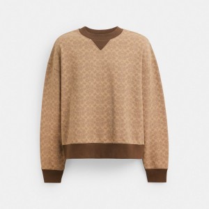 Coach Essential Signature Crewneck Bruin | COH866883