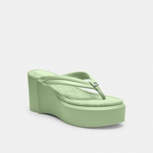 Coach Franki Flip Flop In Signature Jacquard Mosterdgeel | COH865848