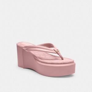 Coach Franki Flip Flop In Signature Jacquard Lichtroze | COH865875