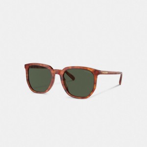Coach Geometric Square Sunglasses Groen | COH866336