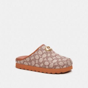 Coach Hadley Slipper In Signature Textile Jacquard Bruin | COH865784