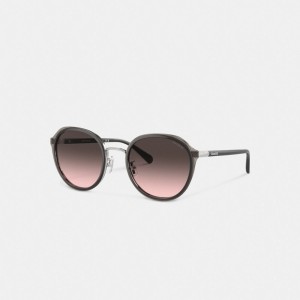 Coach Hangtag Geometric Round Sunglasses Grijs | COH866335