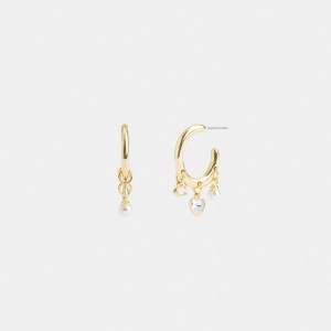 Coach Heart Charm Huggie Earrings Goud | COH866216