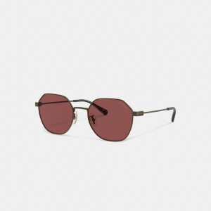 Coach Hinged Geometric Round Sunglasses Goud Bordeaux | COH867066