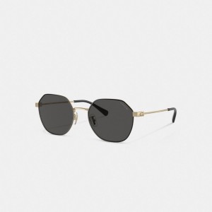 Coach Hinged Geometric Round Sunglasses Goud Zwart | COH867080