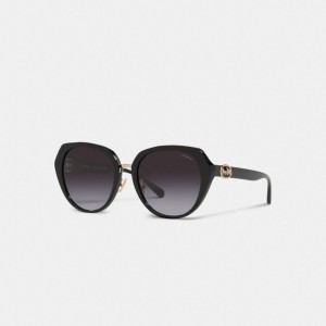 Coach Horse And Carriage Oversized Round Sunglasses Zwart | COH866344