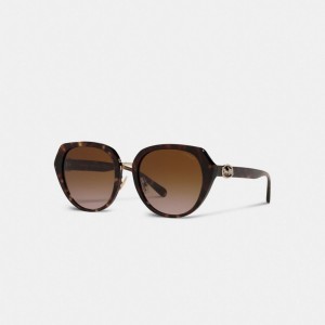 Coach Horse And Carriage Oversized Round Sunglasses Bruin | COH866376
