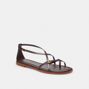 Coach Jenni Sandal Chocola | COH865861