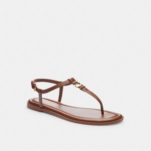 Coach Jessica Sandal Bruin | COH865902