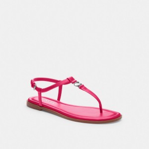 Coach Jessica Sandal Roze | COH865849