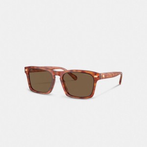 Coach Keyhole Square Sunglasses Bruin | COH867072