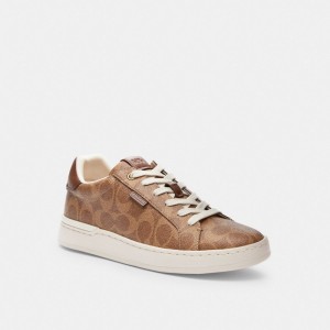 Coach Lowline Luxe Low Top Sneaker Bruin | COH865830