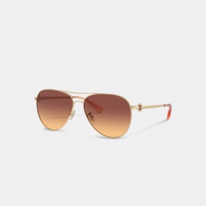 Coach Metal Aviator Sunglasses Donkerbruin | COH866377