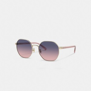 Coach Metal Hexagon Sunglasses Paars Roze | COH866356