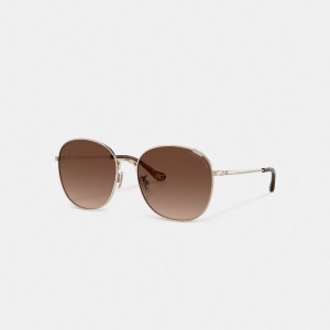 Coach Metal Round Sunglasses Bruin | COH866365