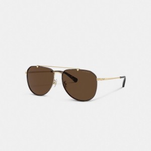 Coach Metal Windsor Pilot Sunglasses Donkerbruin | COH867057