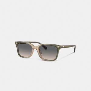 Coach Narrow Square Sunglasses Groen Bruin | COH867083