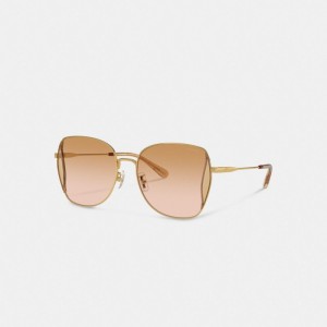 Coach Oversized Butterfly Sunglasses Koraal Roze Gekleurd | COH866371