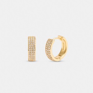 Coach Pavé Huggie Earrings Goud | COH866092