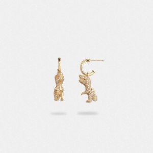 Coach Pavé Rexy Huggie Earrings Goud | COH866217
