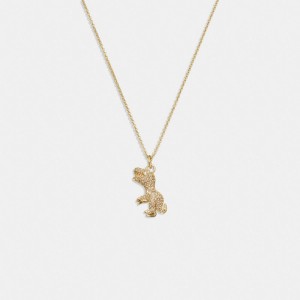 Coach Pavé Rexy Necklace Goud | COH866172