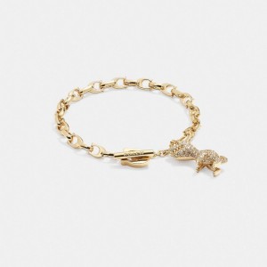 Coach Pavé Rexy Signature Chain Bracelet Goud | COH866148