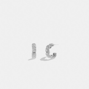 Coach Pavé Tea Rose Hoop Earrings Zilver | COH866079