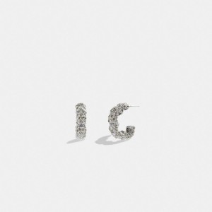 Coach Pavé Tea Rose Hoop Earrings Zilver | COH866118