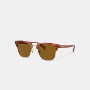 Coach Retro Sunglasses Bruin | COH867079