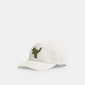 Coach Rexy Patch Baseball Hat Wit | COH866423