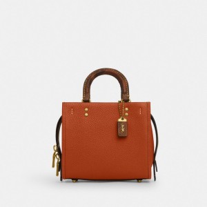 Coach Rogue 20 In Regenerative Leather With Snakeskin Detail Bruin | COH865173